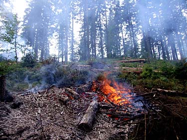 Istebna - Stozek Trail, Beskid Slaski, Poland, Jacek Piwowarczyk, 2008