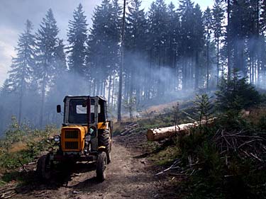 Istebna - Stozek Trail, Beskid Slaski, Poland, Jacek Piwowarczyk, 2008