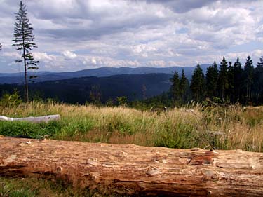 Istebna - Stozek Trail, Beskid Slaski, Poland, Jacek Piwowarczyk, 2008