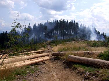 Istebna - Stozek Trail, Beskid Slaski, Poland, Jacek Piwowarczyk, 2008