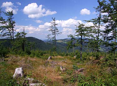 Istebna - Stozek Trail, Beskid Slaski, Poland, Jacek Piwowarczyk, 2008