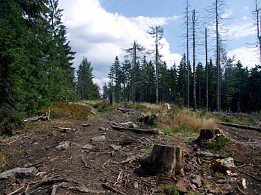 Istebna - Stozek Trail, Beskid Slaski, Poland, Jacek Piwowarczyk, 2008