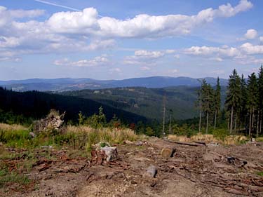 Istebna - Stozek Trail, Beskid Slaski, Poland, Jacek Piwowarczyk, 2008