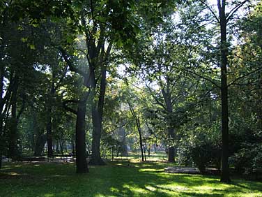 Planty, Krakow, Poland, Jacek Piwowarczyk, 2005