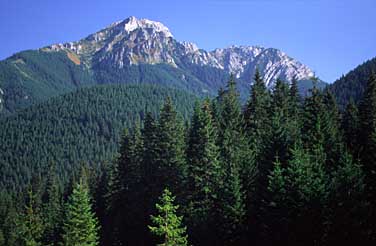 Dolina Chocholowska, Tatra Mountains, Poland, Jacek Piwowarczyk, 2005