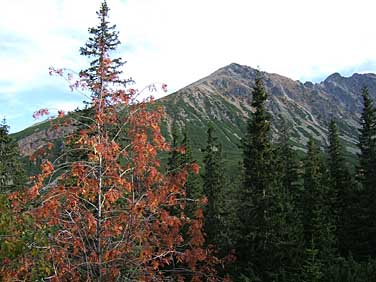 Dolina Gasienicowa, Tatra Mountains, Poland, Jacek Piwowarczyk, 2005