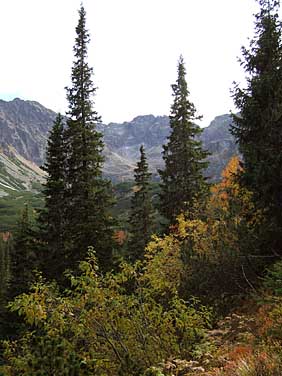 Dolina Gasienicowa, Tatra Mountains, Poland, Jacek Piwowarczyk, 2005