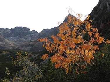 Dolina Gasienicowa, Tatra Mountains, Poland, Jacek Piwowarczyk, 2005