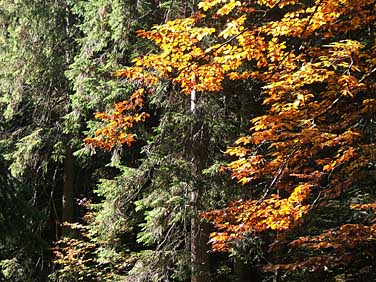 Dolina Strazyska, Tatra Mountains, Poland, Jacek Piwowarczyk, 2005