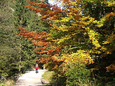 Dolina Strazyska, Tatra Mountains, Poland, Jacek Piwowarczyk, 2005