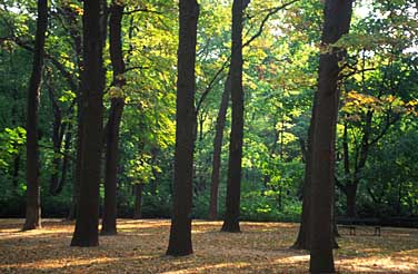 Lazienki Garden, Warsaw, Poland, Jacek Piwowarczyk, 2005