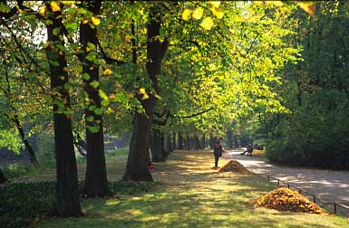 Lazienki Garden, Warsaw, Poland, Jacek Piwowarczyk, 2005