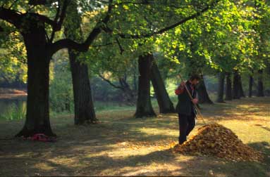 Lazienki Garden, Warsaw, Poland, Jacek Piwowarczyk, 2005