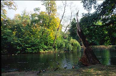 Lazienki Garden, Warsaw, Poland, Jacek Piwowarczyk, 2005