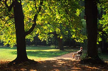 Lazienki Garden, Warsaw, Poland, Jacek Piwowarczyk, 2005