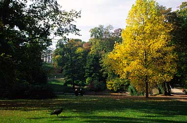 Lazienki Garden, Warsaw, Poland, Jacek Piwowarczyk, 2005