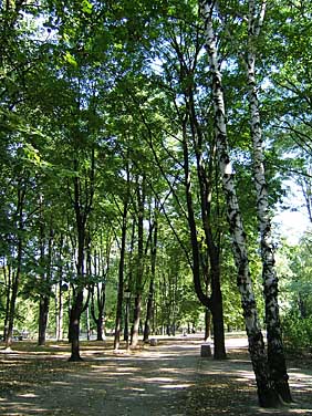 Saxon Garden, Warsaw, Poland, jacek Piwowaczyk 2005