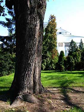 Sejm, Warsaw, Poland, Jacek Piwowarczyk 2005