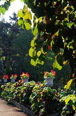 Wilanow, Warsaw, Poland, Jacek Piwowarczyk, 2005