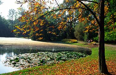 Wilanow, Warsaw, Poland, Jacek Piwowarczyk, 2005