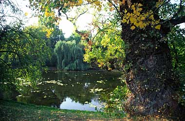 Wilanow, Warsaw, Poland, Jacek Piwowarczyk, 2005