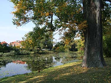 Wilanow, Warsaw, Poland, Jacek Piwowarczyk, 2005