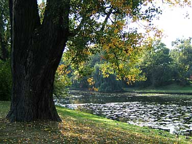 Wilanow, Warsaw, Poland, Jacek Piwowarczyk, 2005