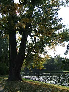 Wilanow, Warsaw, Poland, Jacek Piwowarczyk, 2005