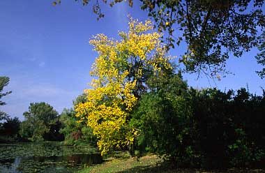 Wilanow, Warsaw, Poland, Jacek Piwowarczyk, 2005