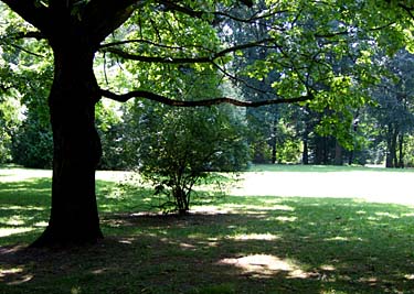 Lazienki, Warsaw, Poland, Jacek Piwowarczyk, 2008