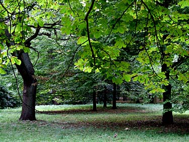 Lazienki, Warsaw, Poland, Jacek Piwowarczyk, 2008