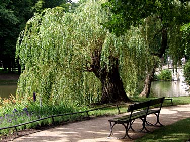 Lazienki, Warsaw, Poland, Jacek Piwowarczyk, 2008