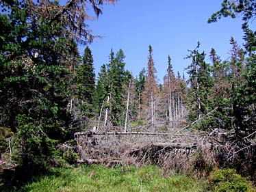 Furkotska Valley, Strbske Pleso, Tatra Mountains, Slovakia, Jacek Piwowarczyk, 2008