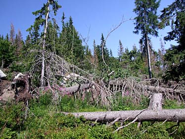 Furkotska Valley, Strbske Pleso, Tatra Mountains, Slovakia, Jacek Piwowarczyk, 2008