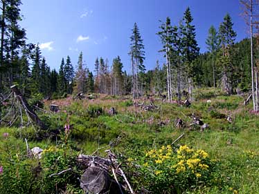 Furkotska Valley, Strbske Pleso, Tatra Mountains, Slovakia, Jacek Piwowarczyk, 2008