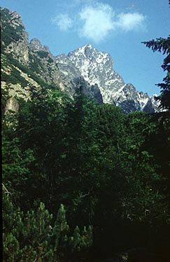 Mala Zimna Voda Valley, Tatra Mountains, Slovakia, Jacek Piwowarczyk, 2008