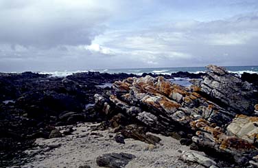 Cape L'Agulhas, South Africa, Jacek Piwowarczyk, 2002