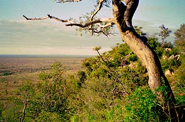 Kruger National Park, South Africa, Jacek Piwowarczyk, 1994