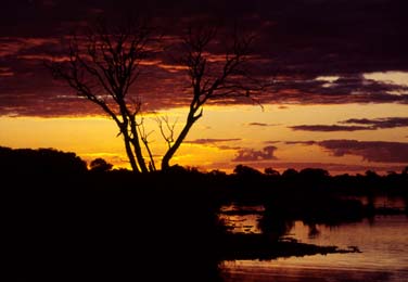 Kruger National Park, South Africa, Jacek Piwowarczyk, 1994