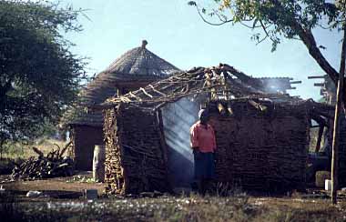 Swaziland, Jacek Piwowarczyk, 1994