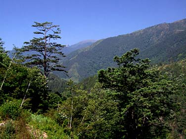 Central Mountains, Taiwan, Jacek Piwowarczyk, 2008