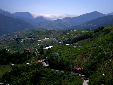 Lishan, Central Mountains, Taiwan, Jacek Piwowarczyk, 2008