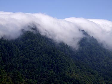 Dayuling, Central Mountains, Taiwan, Jacek Piwowarczyk, 2008