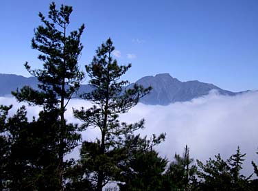 Dayuling, Central Mountains, Taiwan, Jacek Piwowarczyk, 2008