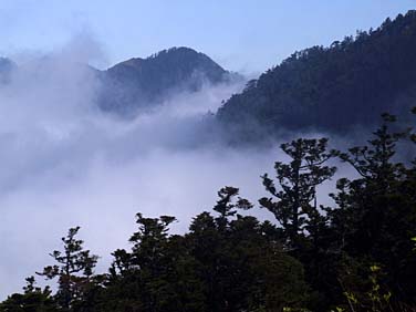 Dayuling, Central Mountains, Taiwan, Jacek Piwowarczyk, 2008