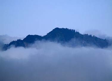 Dayuling, Central Mountains, Taiwan, Jacek Piwowarczyk, 2008