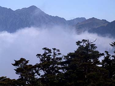 Dayuling, Central Mountains, Taiwan, Jacek Piwowarczyk, 2008