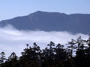 Dayuling, Central Mountains, Taiwan, Jacek Piwowarczyk, 2008