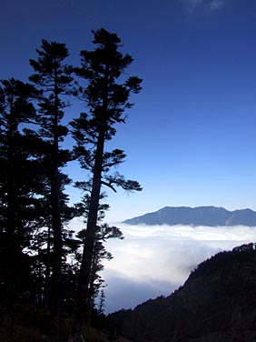 Dayuling, Central Mountains, Taiwan, Jacek Piwowarczyk, 2008