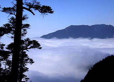 Central Mountains, Taiwan, Jacek Piwowarczyk, 2008